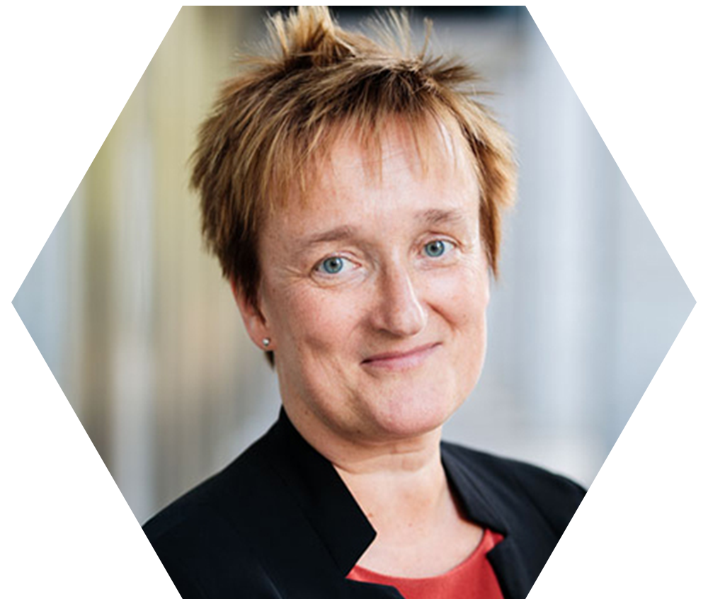 Prof. Dr.-Ing. Ina Schieferdecker